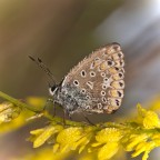 Al sole ad asciugarmi