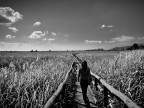 A very long walk! A very long walk!