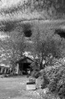 degrado ambientale
