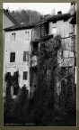 casolare casolare