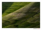 Diagonale Diagonale