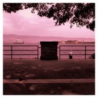 Per non dimenticare,