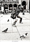 Streepher Streepher
