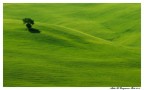 Green.... Green....