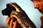 Fotografando il Marocco Fotografando il Marocco