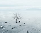 Vita impossibile Vita impossibile