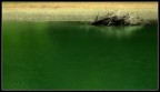 Fiume Fiume