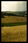 Una luce dall'alto Una luce dall'alto