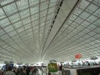...FUGA....IN AEROPORTO PARIGINO ...FUGA....IN AEROPORTO PARIGINO