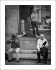 quattro storie quattro storie