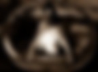Ws_Val_1 Ws_Val_1
