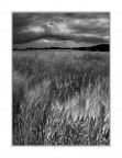 paesaggio paesaggio