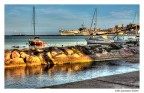 The Harbour The Harbour