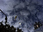 il cielo in una pozza il cielo in una pozza