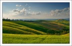 Colli senesi Colli senesi