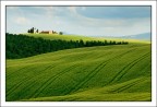 Colli senesi2 Colli senesi2