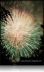 moltissimi altri scatti (son la mia prova di foto ai fuochi d'artificio quindi abbiate piet� :) ) sono visibili su questa gallery: http://capturethetime.blogspot.com/2010/06/fireworks.html