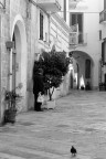 Monopoli Monopoli