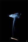 Smoke Design Smoke Design