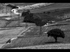 TralEccio TralEccio