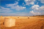 La caduta..... La caduta.....