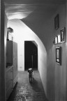 The dog is in the house The dog is in the house