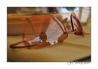 SunGlasses SunGlasses