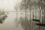 Padule di Fucecchio Padule di Fucecchio