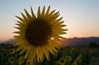 quell'ultimo raggio di sole quell'ultimo raggio di sole