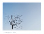 Solleticando il cielo... Solleticando il cielo...