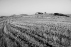 Terra di Siena Terra di Siena