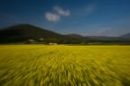 Giallo Giallo