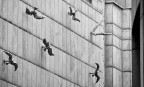 Free like a bird ... Free like a bird ...