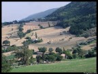 campagna marchigiana