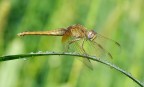 pista bagnata pista bagnata