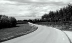 Lungo la strada Lungo la strada