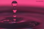 Acqua... Acqua...