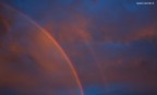 Gold rainbow Gold rainbow