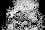 acqua acqua