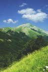 Monte Cimone Monte Cimone
