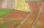 Pastelli di campo Pastelli di campo