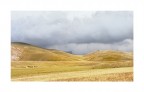 spasmodica ricerca della luce spasmodica ricerca della luce