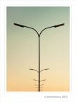 Antennine ...marinare Antennine ...marinare