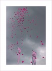 La vie en rose(un vociare silenzioso) La vie en rose(un vociare silenzioso)