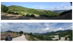 Panorami