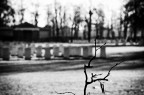 Solitudine infinita Solitudine infinita