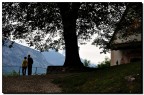 panorami panorami