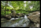 River River