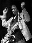 james senese live james senese live