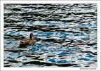 Il lago a Misurina Il lago a Misurina